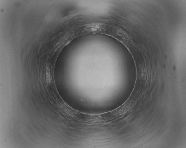 X0000069801442200605221128