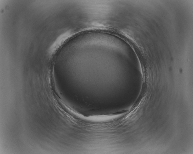 X0000069801455200605221127