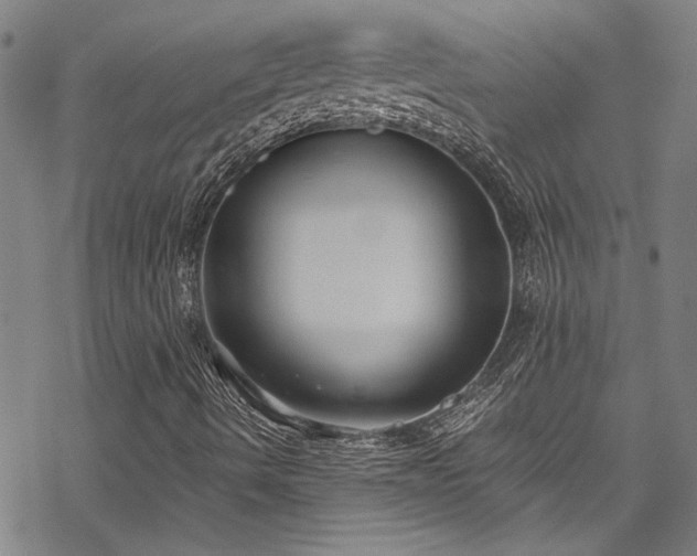 X0000069801490200605221126