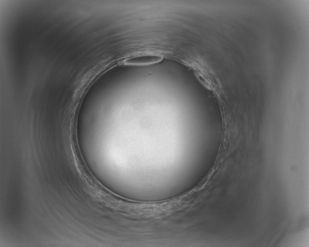 X0000069800001200605261735