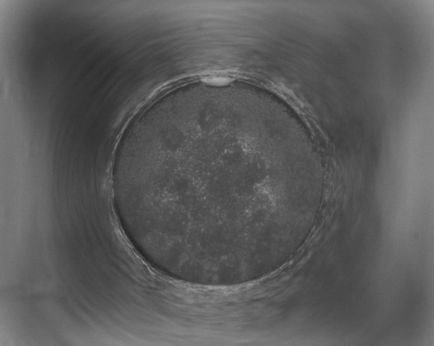 X0000069800002200605261735