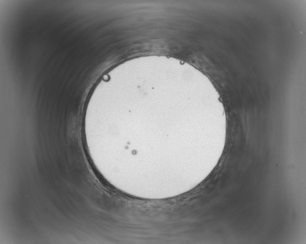 X0000069800003200605261735