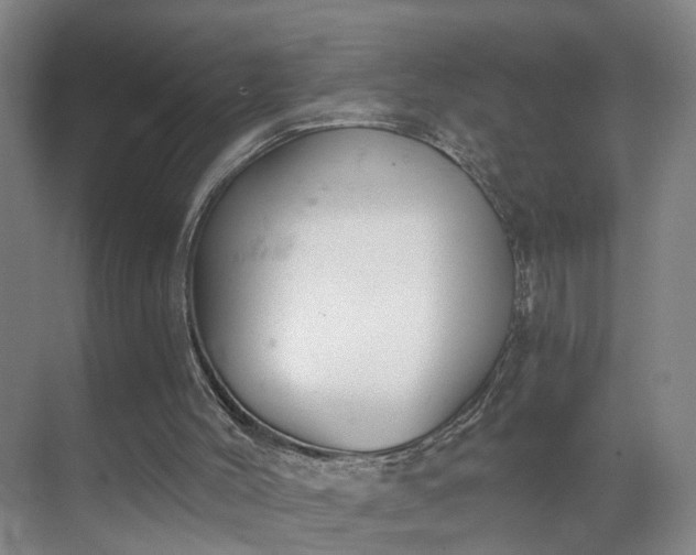 X0000069800004200605261735