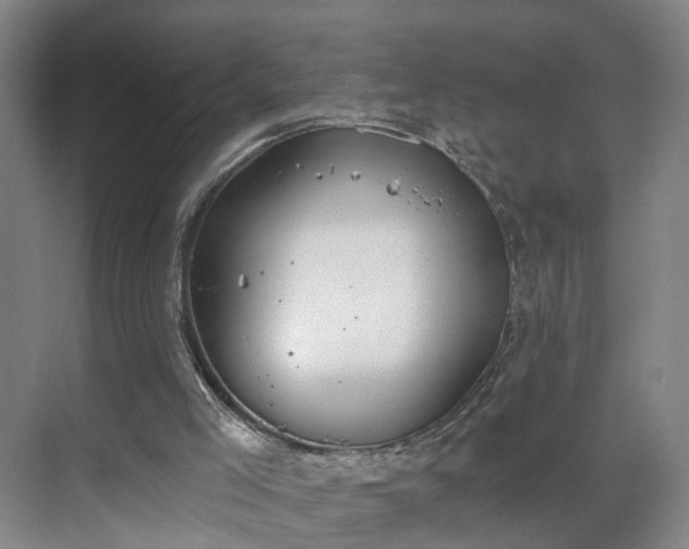 X0000069800005200605261735