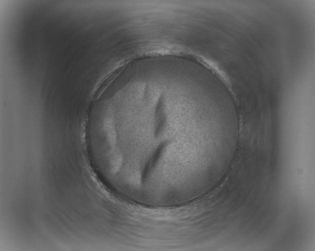 X0000069800010200605261734