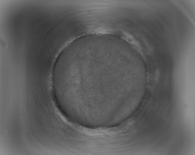 X0000069800012200605261734