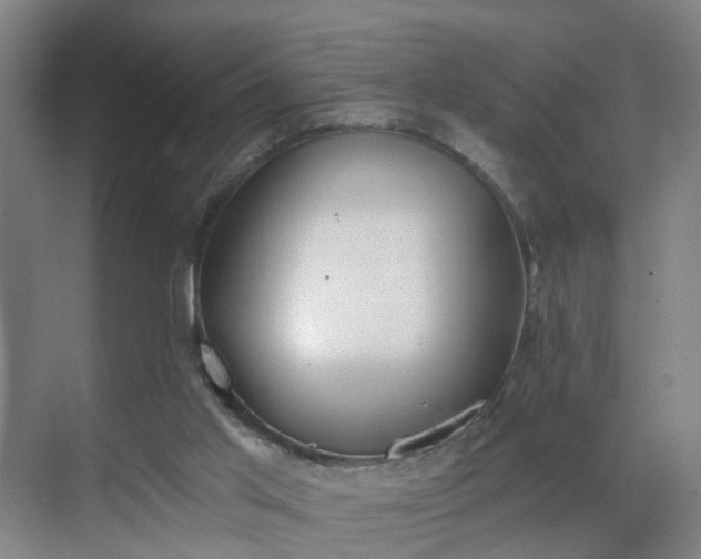 X0000069800013200605261734