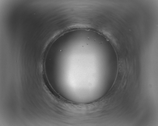 X0000069800015200605261734