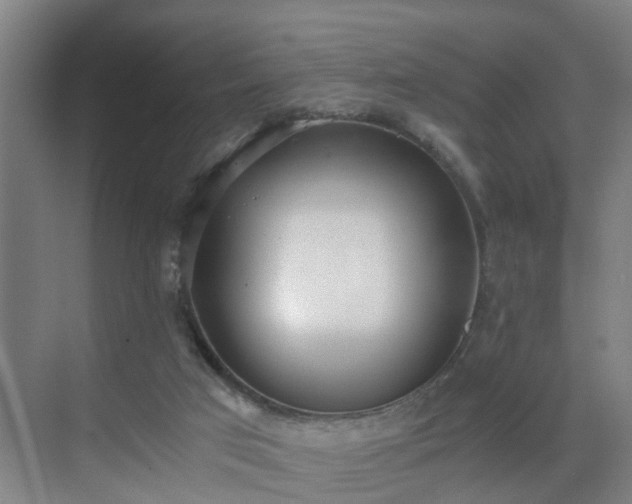 X0000069800017200605261734