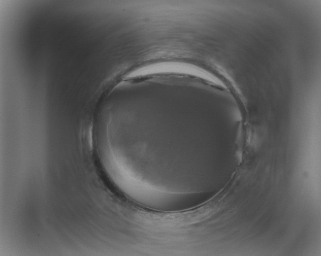 X0000069800019200605261734