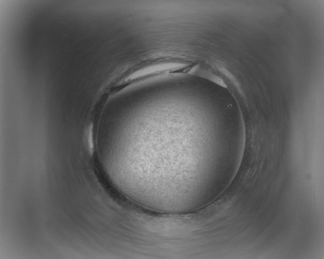 X0000069800020200605261734