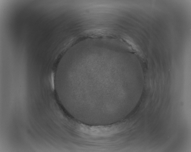 X0000069800022200605261734