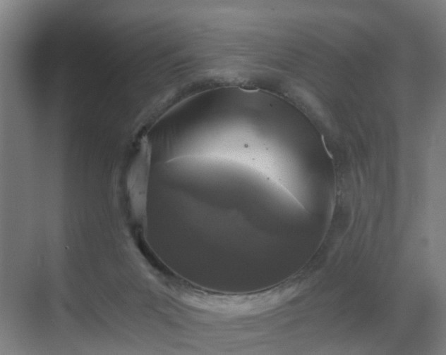 X0000069800023200605261734