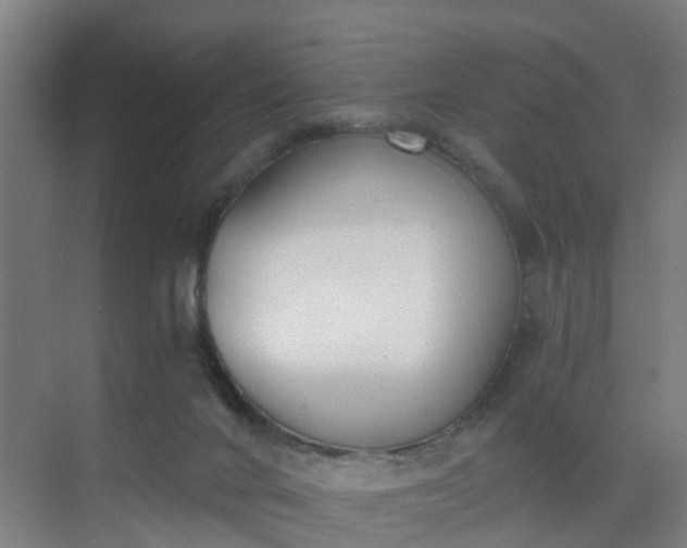 X0000069800024200605261734