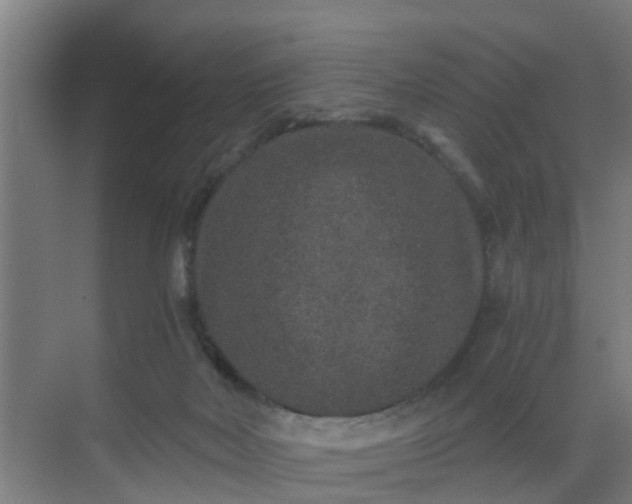 X0000069800026200605261734