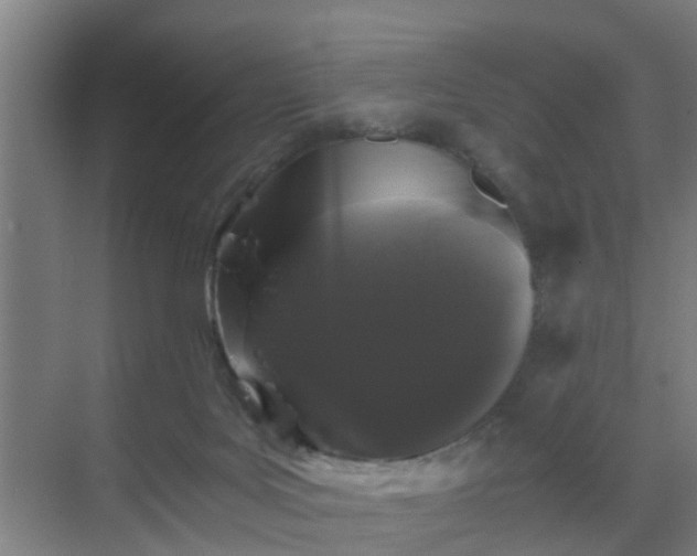 X0000069800027200605261734