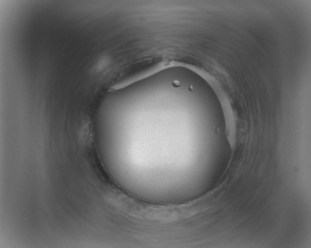 X0000069800029200605261734