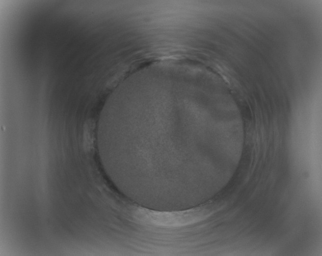 X0000069800030200605261734