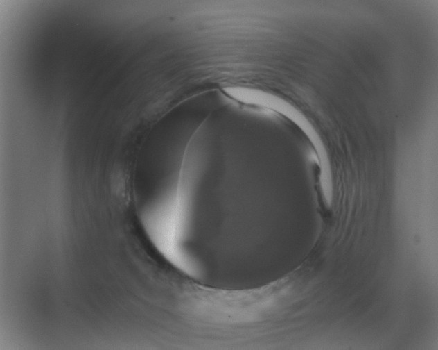 X0000069800031200605261734