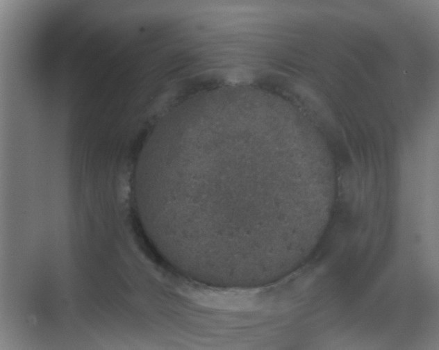 X0000069800032200605261734