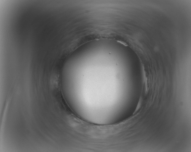 X0000069800033200605261734