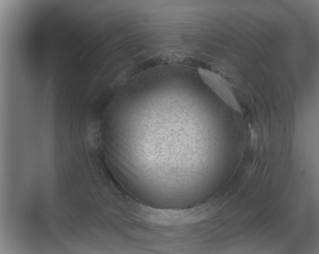 X0000069800034200605261734