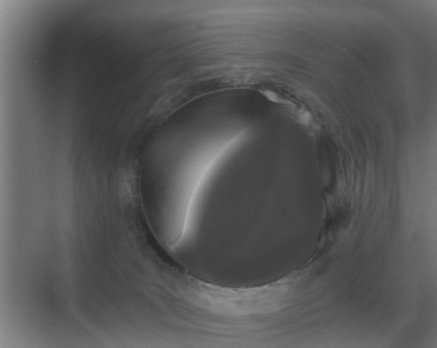 X0000069800035200605261734