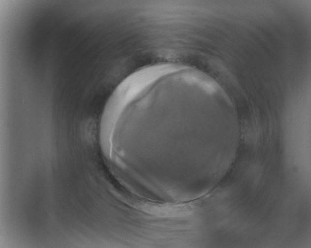 X0000069800036200605261734