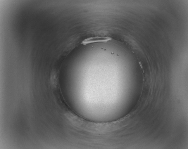 X0000069800037200605261734