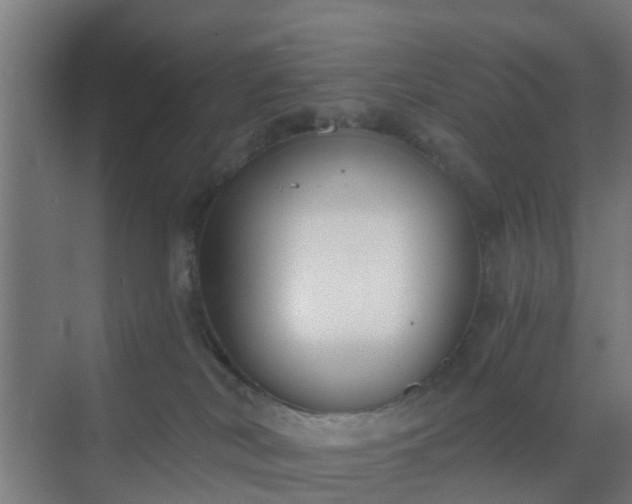 X0000069800038200605261734