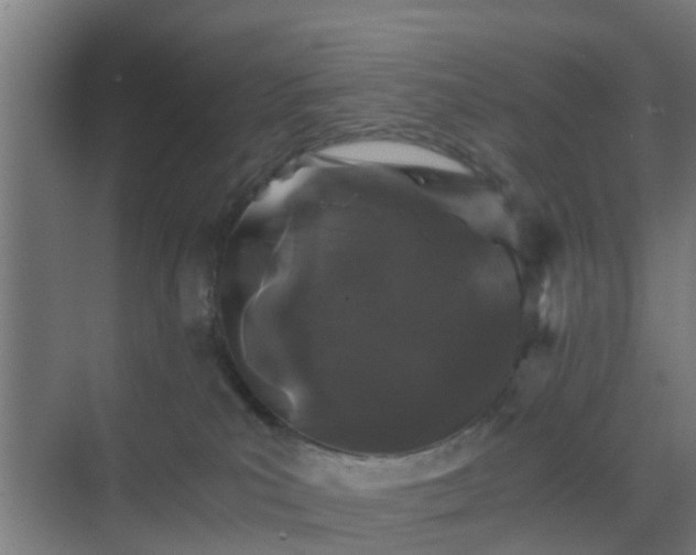 X0000069800039200605261734