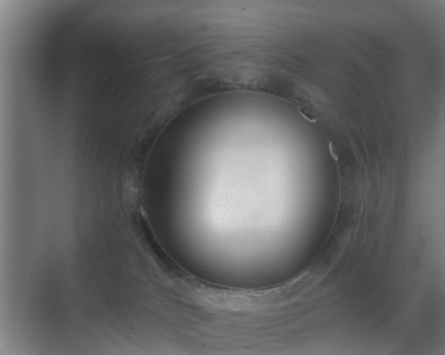 X0000069800040200605261734