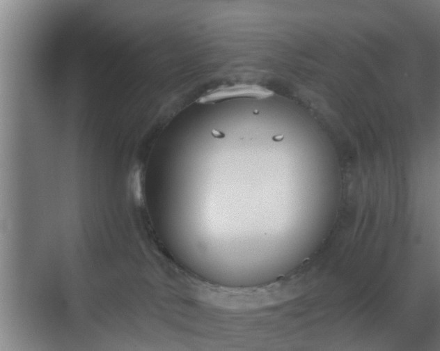 X0000069800042200605261734