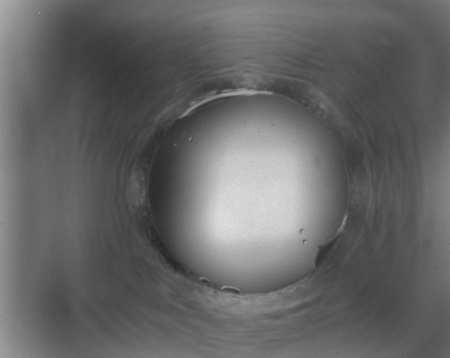 X0000069800043200605261734