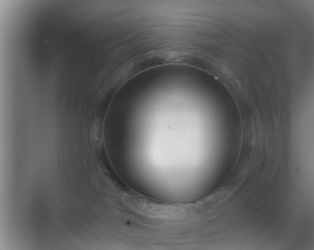 X0000069800044200605261734