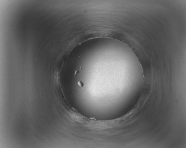 X0000069800045200605261734