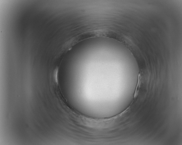 X0000069800047200605261734