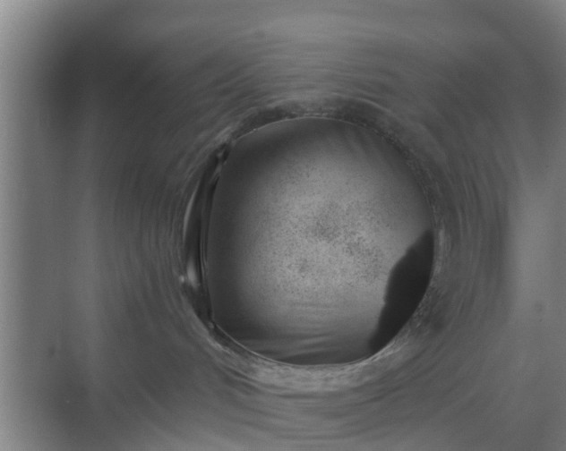 X0000069800048200605261734