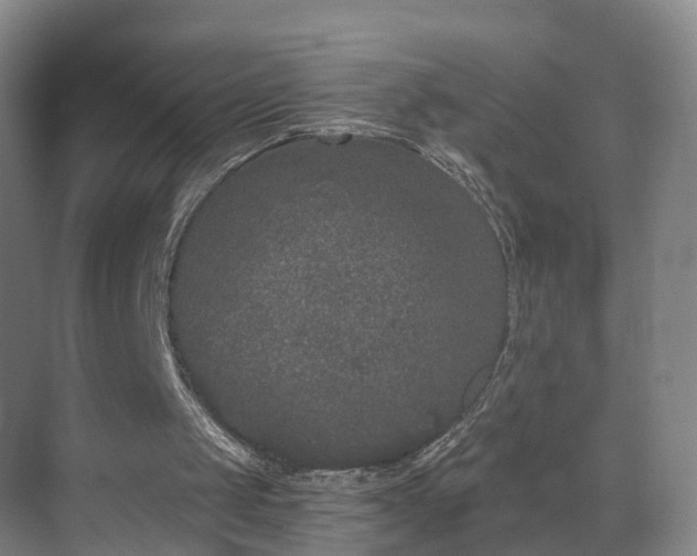 X0000069800049200605261733