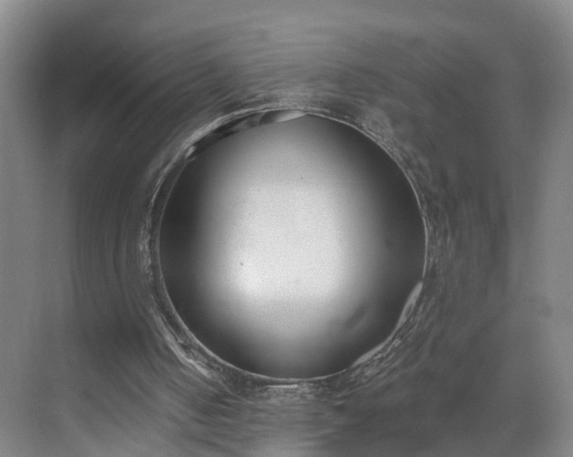 X0000069800050200605261733