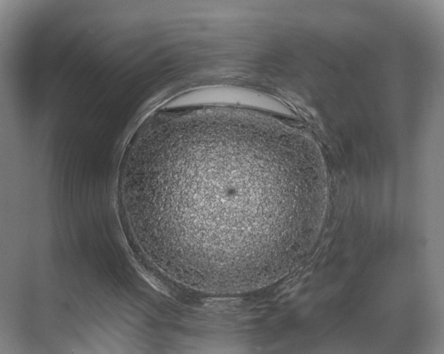 X0000069800051200605261733