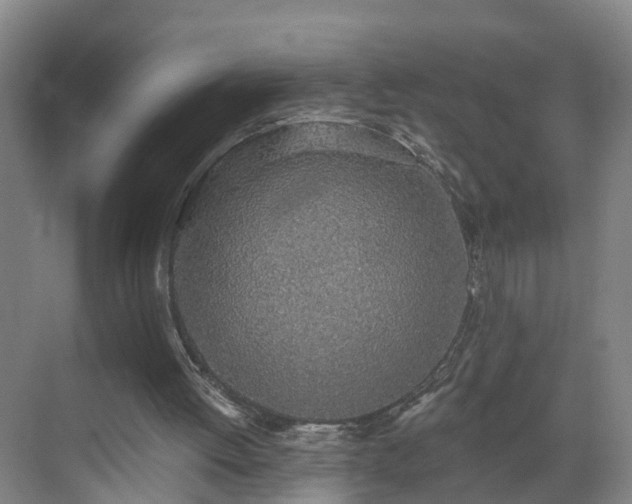 X0000069800052200605261733