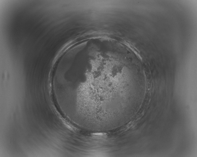 X0000069800053200605261733