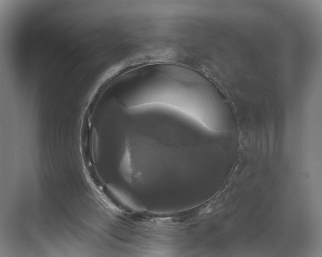 X0000069800054200605261733