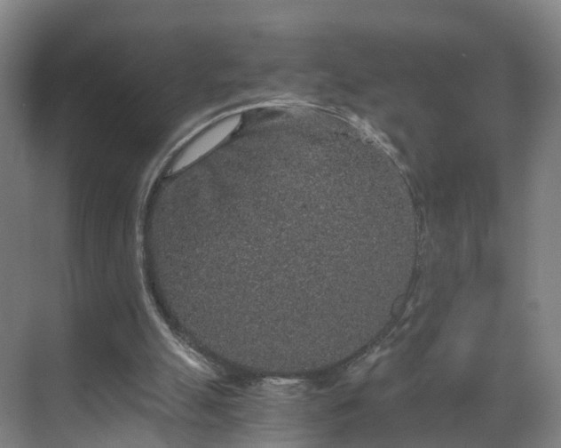 X0000069800055200605261733