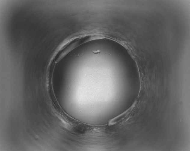 X0000069800056200605261733