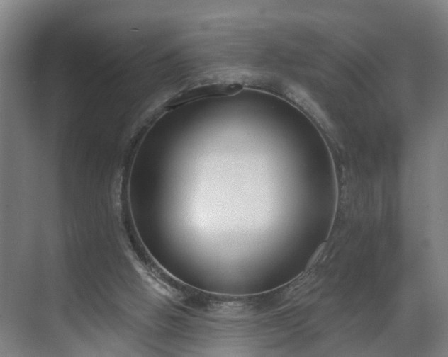 X0000069800058200605261733