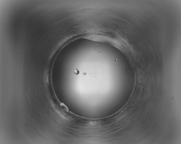 X0000069800060200605261733