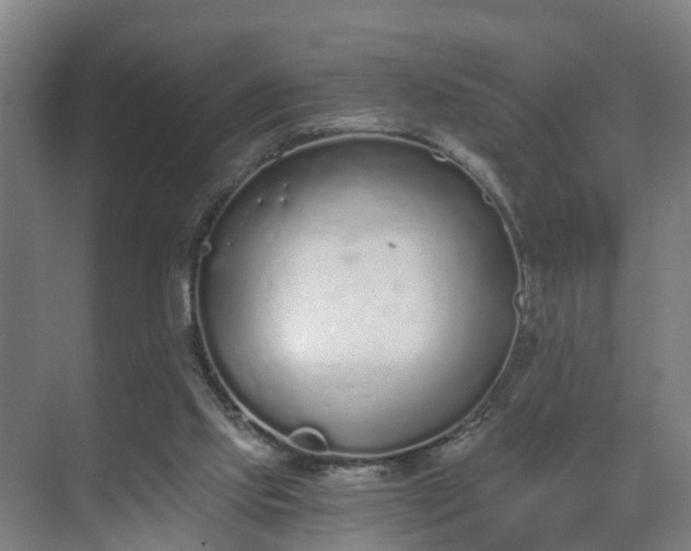 X0000069800061200605261733