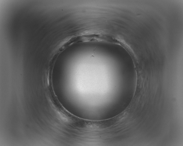 X0000069800062200605261733